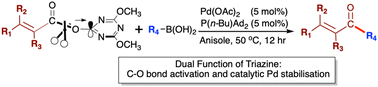 Graphical abstract: Palladium-catalysed Suzuki–Miyaura coupling of α,β-unsaturated superactive triazine esters