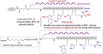 Graphical abstract: Total stepwise solid-phase synthesis of peptide–oligonucleotide conjugates using side-chain Boc/tBu protecting groups