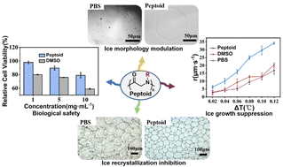 Graphical abstract: Design, synthesis and antifreeze properties of biomimetic peptoid oligomers