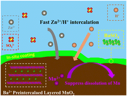 Graphical abstract: In situ BaSO4 coating enabled activation-free and ultra-stable δ-MnO2 for aqueous Zn-ion batteries