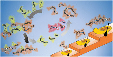 Graphical abstract: Step-growth polymerization by the RAFT process