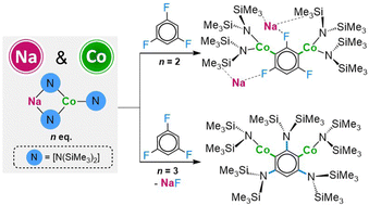Graphical abstract: Applying Na/Co(ii) bimetallic partnerships to promote multiple Co–H exchanges in polyfluoroarenes
