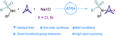 Graphical abstract: Synthesis of C3-halo substituted bicyclo[1.1.1]pentylamines via halosulfoamidation of [1.1.1]propellane with sodium hypohalites and sulfonamides