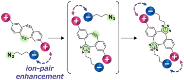 Graphical abstract: Mechanism of rate controllability of water-soluble bifunctional cyclooctadiynes through cation-anion interactions