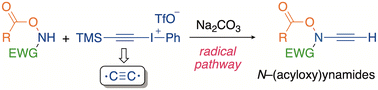 Graphical abstract: Synthesis of N-(acyloxy)-N-alkynylamides via generation of “C2” from hypervalent alkynyliodane and a weak base