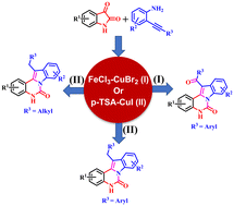 Graphical abstract: Ring expansion and fused cyclization catalysis to construct indoloquinazolinones with functionalization