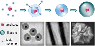 Graphical abstract: Liquid-on-solid heterogeneous nucleation for a general synthesis of yolk–shell nanostructures