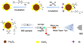 Graphical abstract: Highly sensitive quantification of ultratrace As(v) via iEESI-MS
