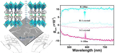 Graphical abstract: Circularly polarized luminescence enlargement from crystals to oriented films of enantiopure 2D hybrid perovskites