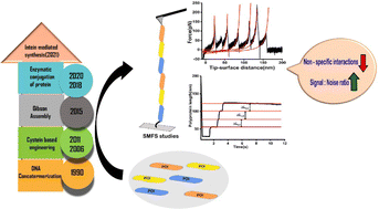 Graphical abstract: Polyprotein synthesis: a journey from the traditional pre-translational method to modern post-translational approaches for single-molecule force spectroscopy