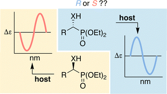 Graphical abstract: Employing a chiroptical sensor for the absolute stereochemical determination of α-amino and α-hydroxyphosphonates