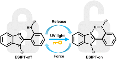 Graphical abstract: Photo-gated polymer mechanochromism from excited-state intramolecular proton transfer