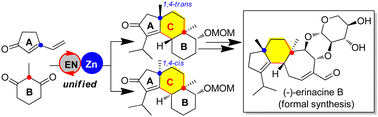 Graphical abstract: A formal synthesis of (–)-erinacine B enabled by asymmetric organocatalysis