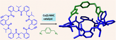 Graphical abstract: Cage-like structures based on constrained cyclic arylopeptoids