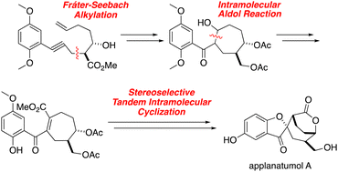 Graphical abstract: Total synthesis of applanatumol A
