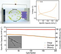 Graphical abstract: Achieving high performance in aqueous iron-ion batteries using tunnel-like VO2 as a cathode material