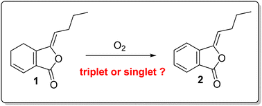 Graphical abstract: Oxidative aromatization mechanism of ligustilide