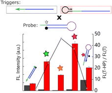 Graphical abstract: Design strategies for countering the effect of fluorophore-quencher labelling on DNA hairpin thermodynamics