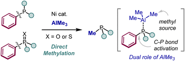 Graphical abstract: Nickel-catalyzed direct methylation of arylphosphines via carbon–phosphorus bond cleavage using AlMe3