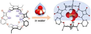 Graphical abstract: A squaramide cage capable of binding and extracting H2PO4− and HP2O73− in highly polar protic media
