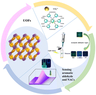 Graphical abstract: A UOF based on a cyclotriphosphazene skeleton: fluorescence sensing of different substituted aldehydes and NACs