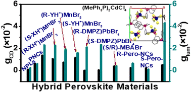 Graphical abstract: Achiral phosphonium induced remarkable circular polarized luminescence in a chiral cadmium(ii) halide perovskite material