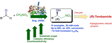 Graphical abstract: Hydroxynitrile lyase engineering for promiscuous asymmetric Henry reaction with enhanced conversion, enantioselectivity and catalytic efficiency