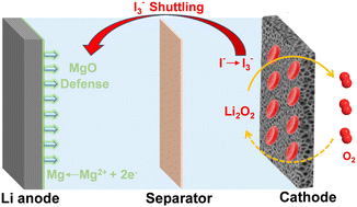 Graphical abstract: Bifunctional electrolyte additive MgI2 for improving cycle life in high-efficiency redox-mediated Li–O2 batteries