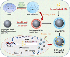 Graphical abstract: Gd/hafnium oxide@gold@chitosan core–shell nanoparticles as a platform for multimodal theranostics in oncology research