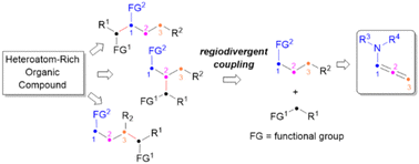 Graphical abstract: Development of regiodivergent asymmetric reductive coupling reactions of allenamides to access heteroatom-rich organic compounds