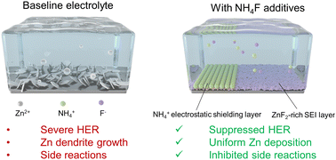 Graphical abstract: Ammonium fluoride additive-modified interphase chemistry stabilizes zinc anodes in aqueous electrolytes