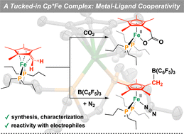 Graphical abstract: Cooperative bond activations by a tucked-in iron complex