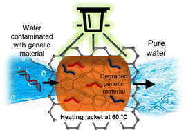 Graphical abstract: Synthesis of an enediyne carbon-allotrope surface for photo-thermal degradation of DNA