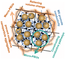 Graphical abstract: Robust dual-cross-linked networks enable stable silicon anodes