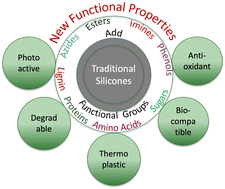 Graphical abstract: Functional silicone oils and elastomers: new routes lead to new properties