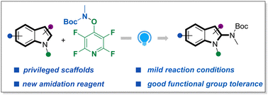 Graphical abstract: Photocatalysed C–H amidation of indoles enabled by tert-butyl alkyl((perfluoropyridin-4-yl)oxy)carbamate