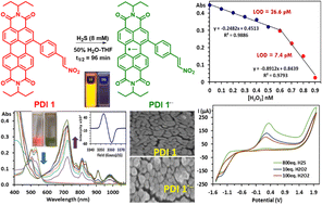 Graphical abstract: Perylene diimide-based radical anions for the rapid detection of picomolar H2O2 in an aqueous medium