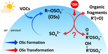 Graphical abstract: Beyond the formation: unveiling the atmospheric transformation of organosulfates via heterogeneous OH oxidation