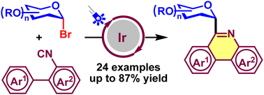 Graphical abstract: Photoredox-catalyzed C-heteroaryl glycosylation of biphenyl isocyanides with glycosyl bromides