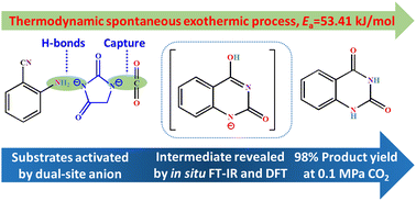 Graphical abstract: Efficient catalytic conversion of CO2 to quinazoline-2,4(1H,3H)-diones by a dual-site anion-functionalized ionic liquid: reconsidering the mechanism