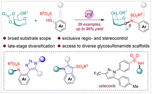 Graphical abstract: Facile and stereospecific synthesis of diverse β-N-glycosyl sulfonamide scaffolds via palladium catalysis