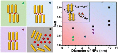 Graphical abstract: Entropy-driven formation of binary superlattices assembled from polymer-tethered nanorods and nanospheres