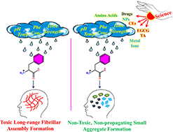 Graphical abstract: Phenylalanine-based fibrillar systems