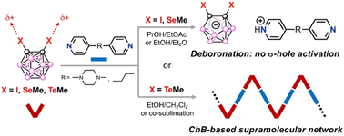 Graphical abstract: Carborane-based heteromolecular extended networks driven by directional C–Te⋯N chalcogen bonding interactions