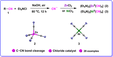 Graphical abstract: Direct transformation of nitriles to cyanide using chloride anion as catalyst