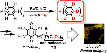 Graphical abstract: Multiple deuteration of triphenylphosphine and live-cell Raman imaging of deuterium-incorporated Mito-Q