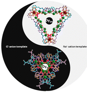 Graphical abstract: Double-stranded metallo-triangles: from anion-templated nonanuclear to cation-templated tetraicosanuclear dysprosium clusters