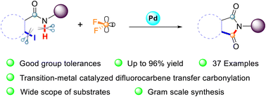 Graphical abstract: Synthesis of N-substituted phthalimides via Pd-catalyzed [4+1] cycloaddition reaction