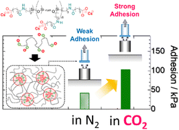 Graphical abstract: CO2 switchable adhesion of ionic polydimethylsiloxane elastomers