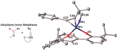 Graphical abstract: A case of alkylidyne-imine metathesis